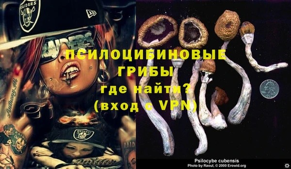 прущий лед Арсеньев