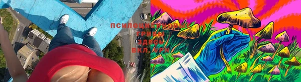 прущий лед Арсеньев