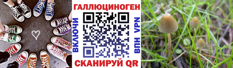 Галлюциногенные грибы GOLDEN TEACHER  Холмск 